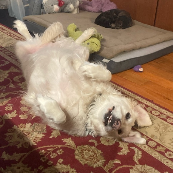 ✨Tracym_13 is LIVE✨ - Picture 7 of 8